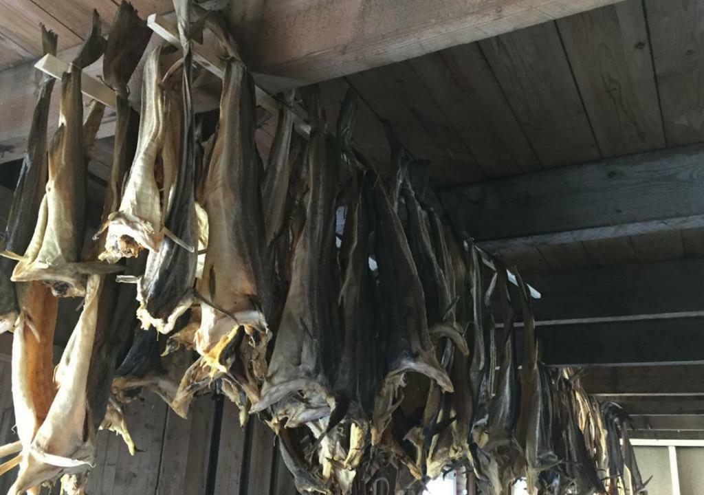 Nyksundrom, Nyksund 호텔 외부 사진