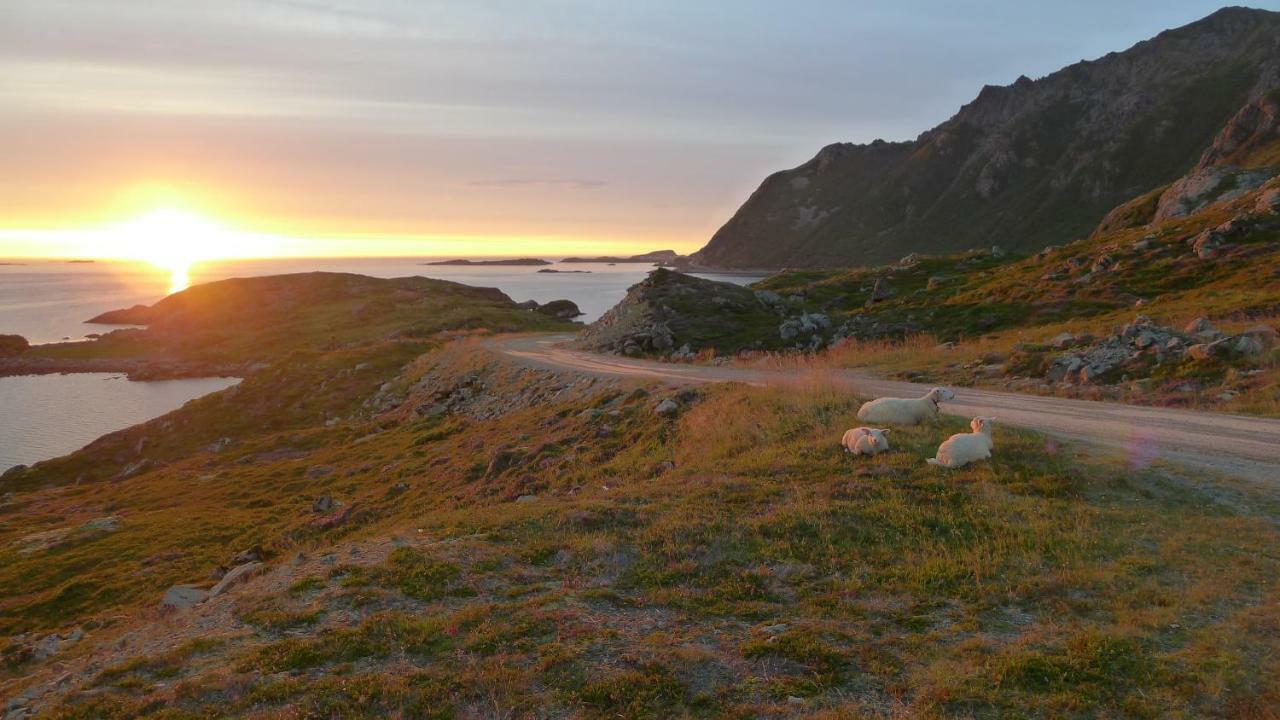 Nyksundrom, Nyksund 호텔 외부 사진